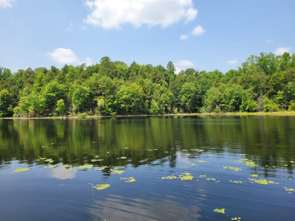 Our Visit to Bays Mountain Park We help visitors and locals discover