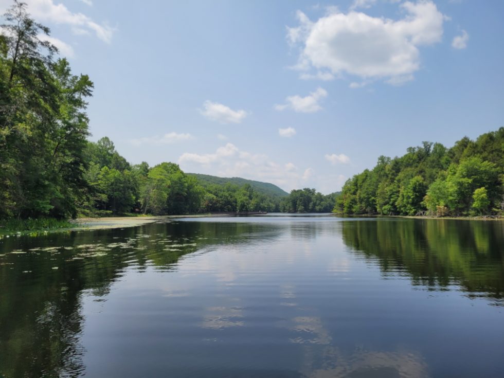 Our Visit to Bays Mountain Park We help visitors and locals discover