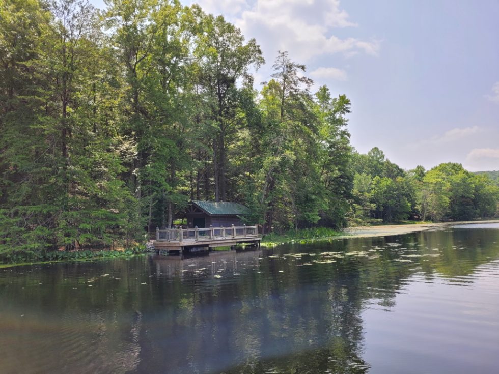 Our Visit to Bays Mountain Park We help visitors and locals discover