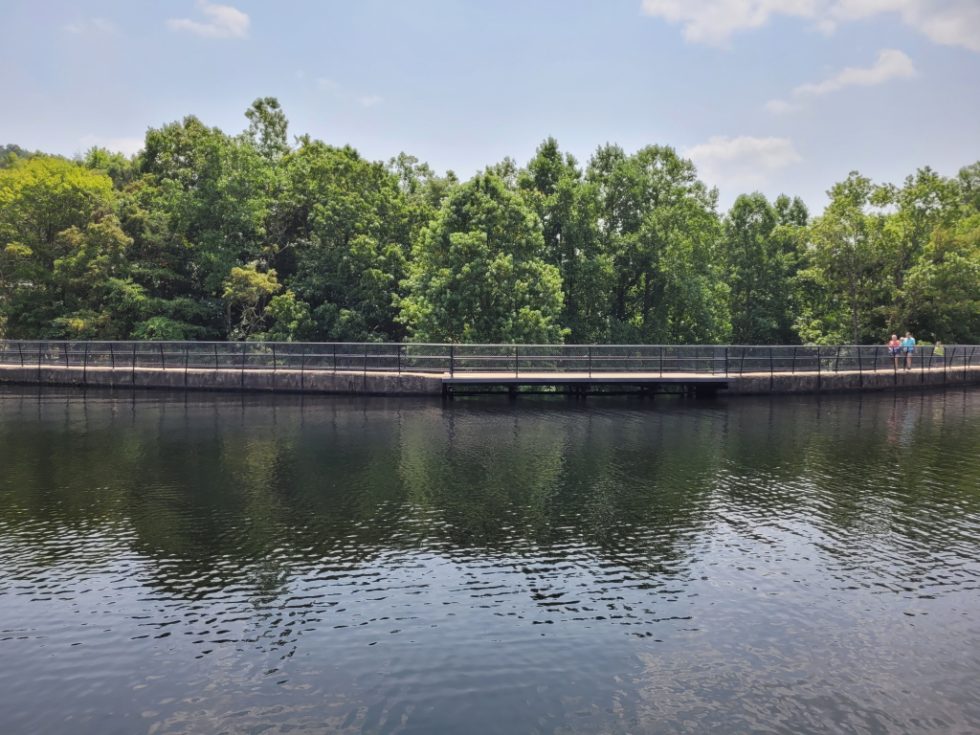 Our Visit to Bays Mountain Park We help visitors and locals discover