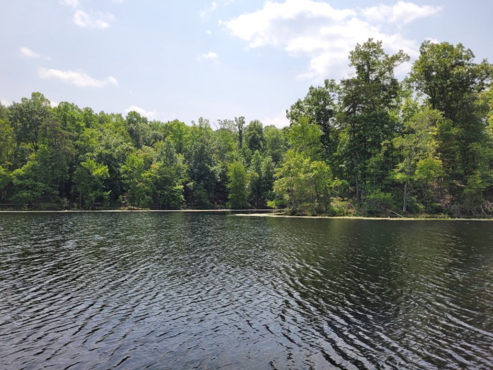 Our Visit to Bays Mountain Park We help visitors and locals discover