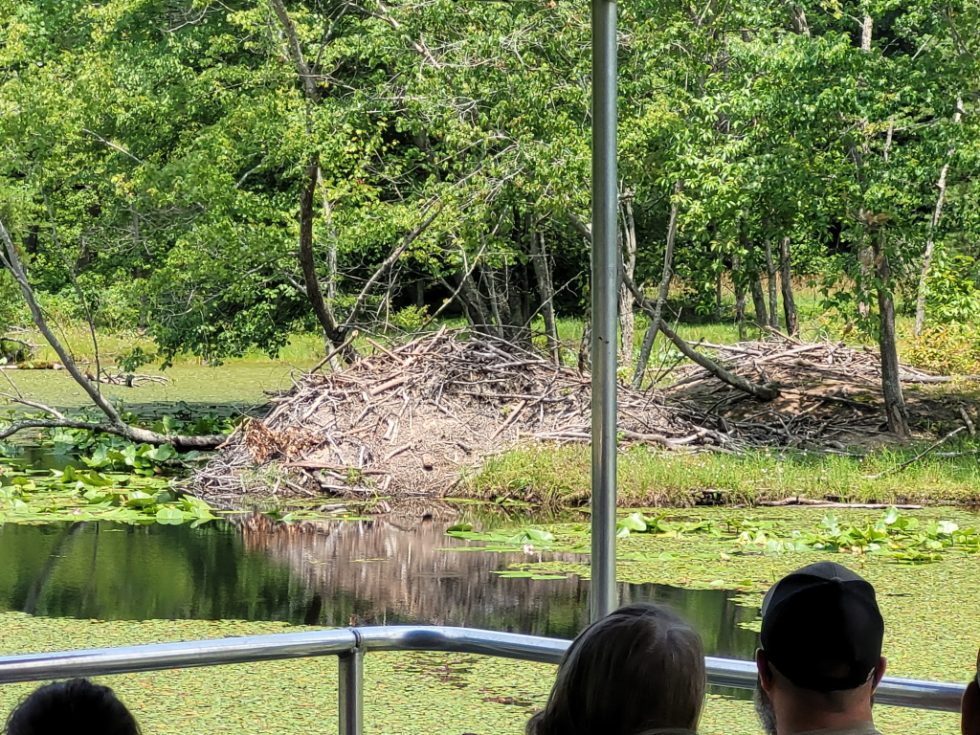 Our Visit to Bays Mountain Park We help visitors and locals discover