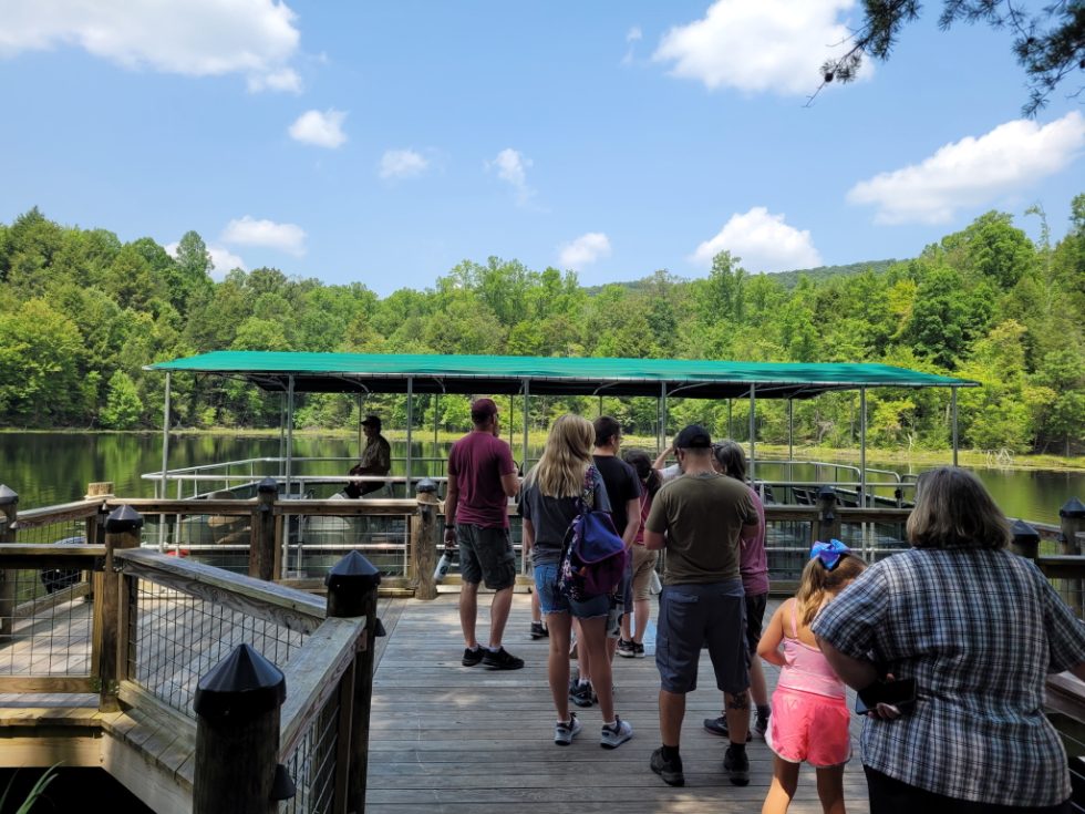 Our Visit to Bays Mountain Park We help visitors and locals discover